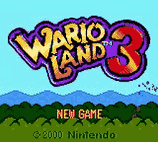 Wario Land 3 Gameplay